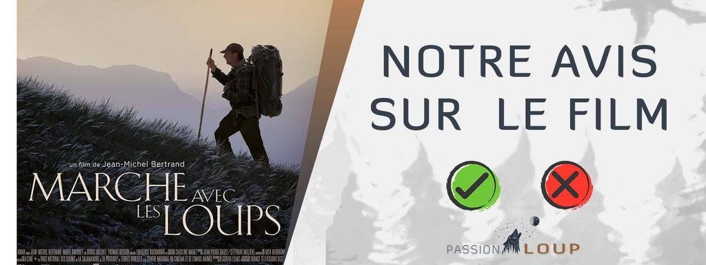 Marche avec les Loups : Notre avis sur le film | Passion Loup