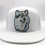 Casquette Loup <br /> Chien Loup