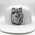 Casquette Loup <br /> Chien Loup